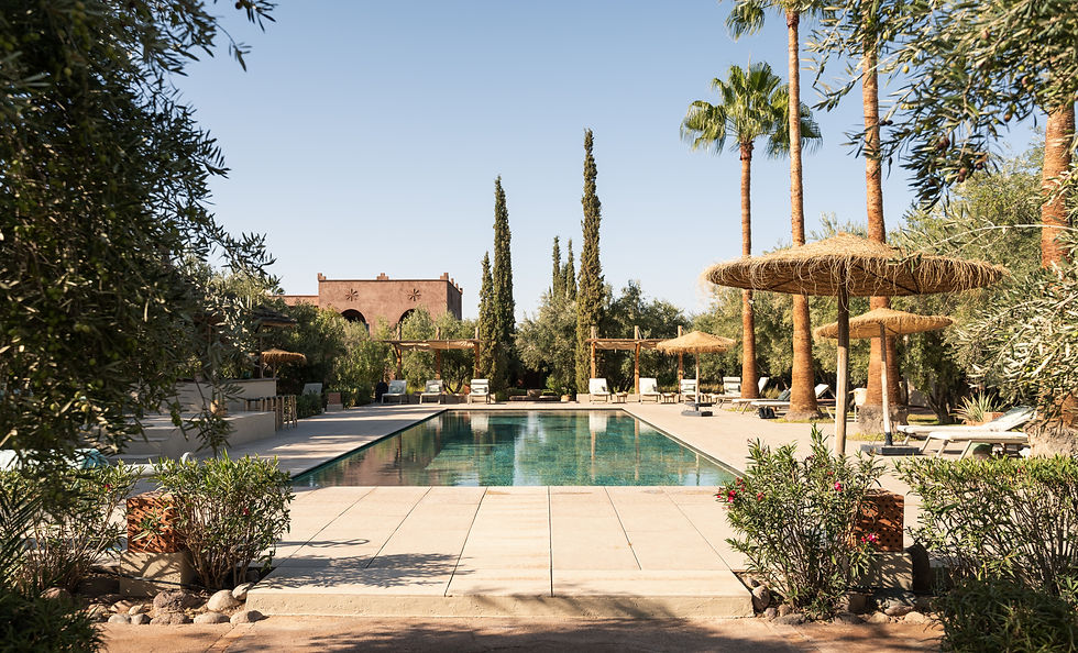 Domaine-de-Tameslohte-Piscine