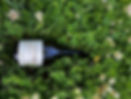 compressed_wb_web_index_banner_v1_06.21.21.jpeg