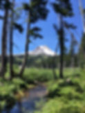 MT Hood view_.jpg