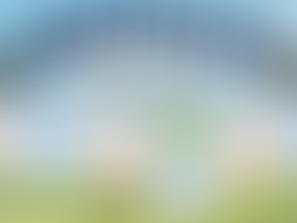 2025 Buffalo Grass Graphic with Schedule