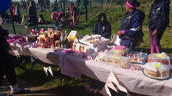Troy Netball Clubs Brest Cancer Fundraiser