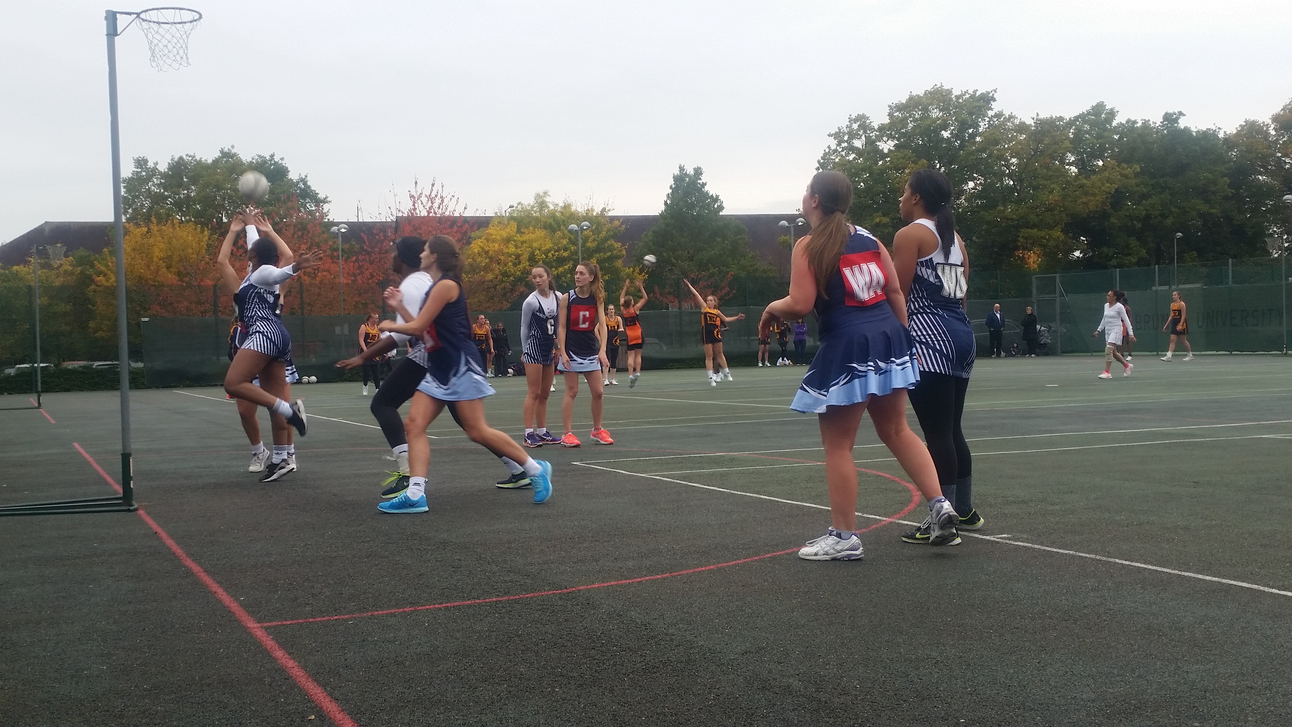Troy Netball Club season 2015