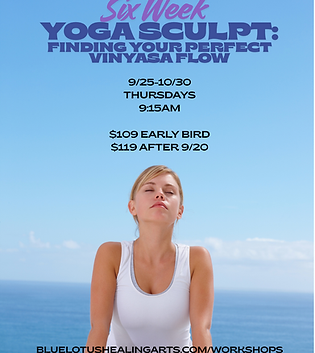 yoga sculpt series.png