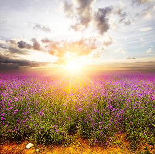 Reiki Image (1).png