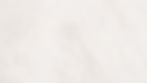 White Background_edited_edited.jpg
