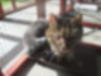 Purdy and Janey