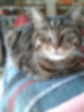 Winston IV (of the 2 Winstons)