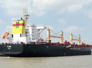 Bluetech 45 bulk carrier delivers excellent performance