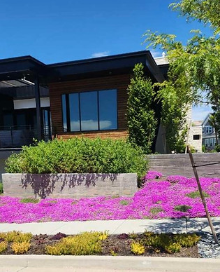 Purple Floral