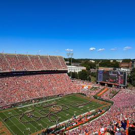 Clemson Athletics Fellowship