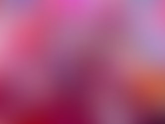 Momoland estará de regreso