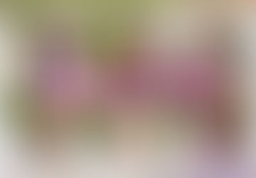 IVE pronto comenzará la segunda temporada del programa de YouTube