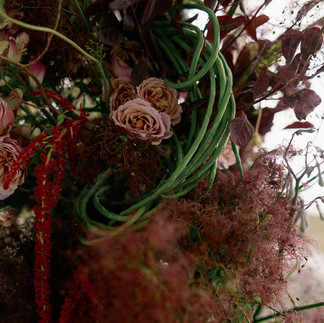 Smokebush, roses, and amaranthus in moody floral arch design.