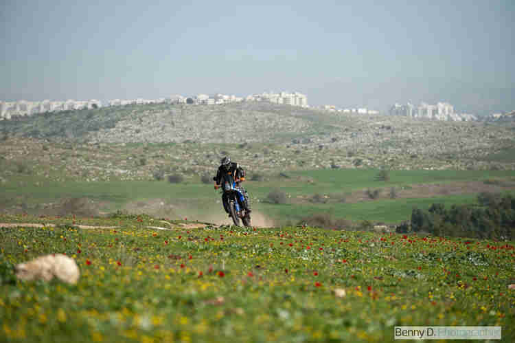 אופנוע דו שימושי כחול חוצה דרך שדה של כלניות אדומות וסביונים צהובים, ברקע גבעות מסולעות ומבנים בקצה האופק