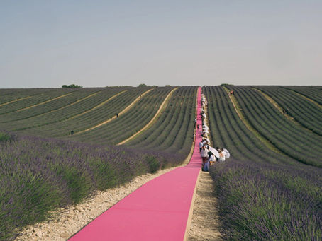 Open Air Runways - The New FashionNarrative