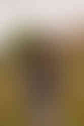 Young photgrapher Cecilia Becatti's shot