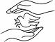 ChatGPT Image May 7, 2026, 11_43_08 PM_edited.jpg