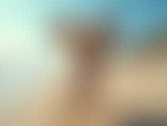 Discover Pet Policies at Pet-Friendly Destinations on GetPetGo.in