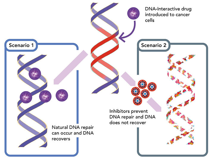 Combinatorial Treatment developed at XPose Therapeutics
