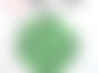 2020年3月22日(日)