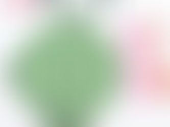 2020年7月26日(日) 一粒万倍日 大つち始