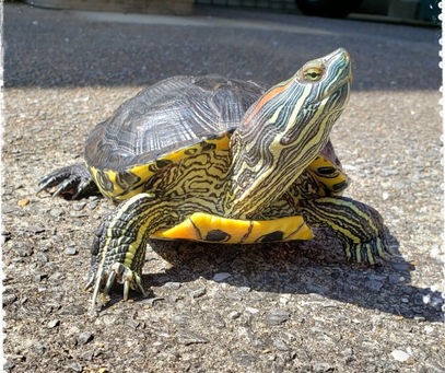 金運&財運アップ