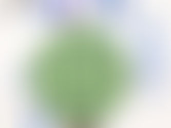 2020年4月17日(金)