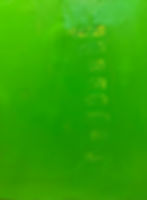 Childhood Mood Green