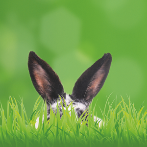 Ostern auf der Lueg 2018