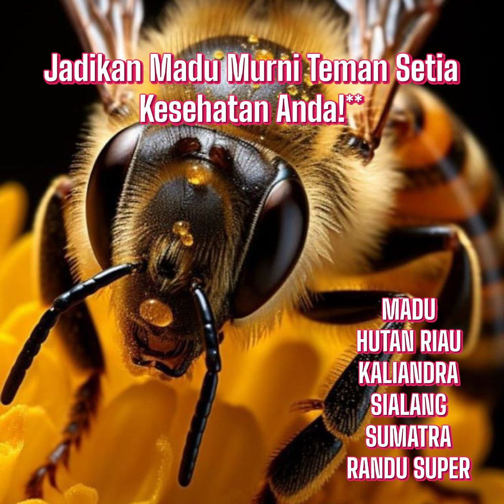 Jual madu Harga Terbaik & Termurah, Jual Madu Terbaik Harga Termurah, Jual Madu Terlengkap & Harga Terbaru, Jual Madu Murni / Madu Asli Murah Berkualitas