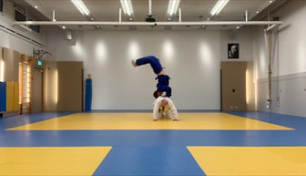 Judo ist nicht nur fallen , Björn Nussbächer.jpg