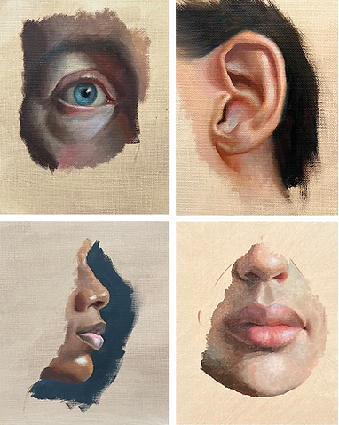 The DaVinci Studios | Facial Features