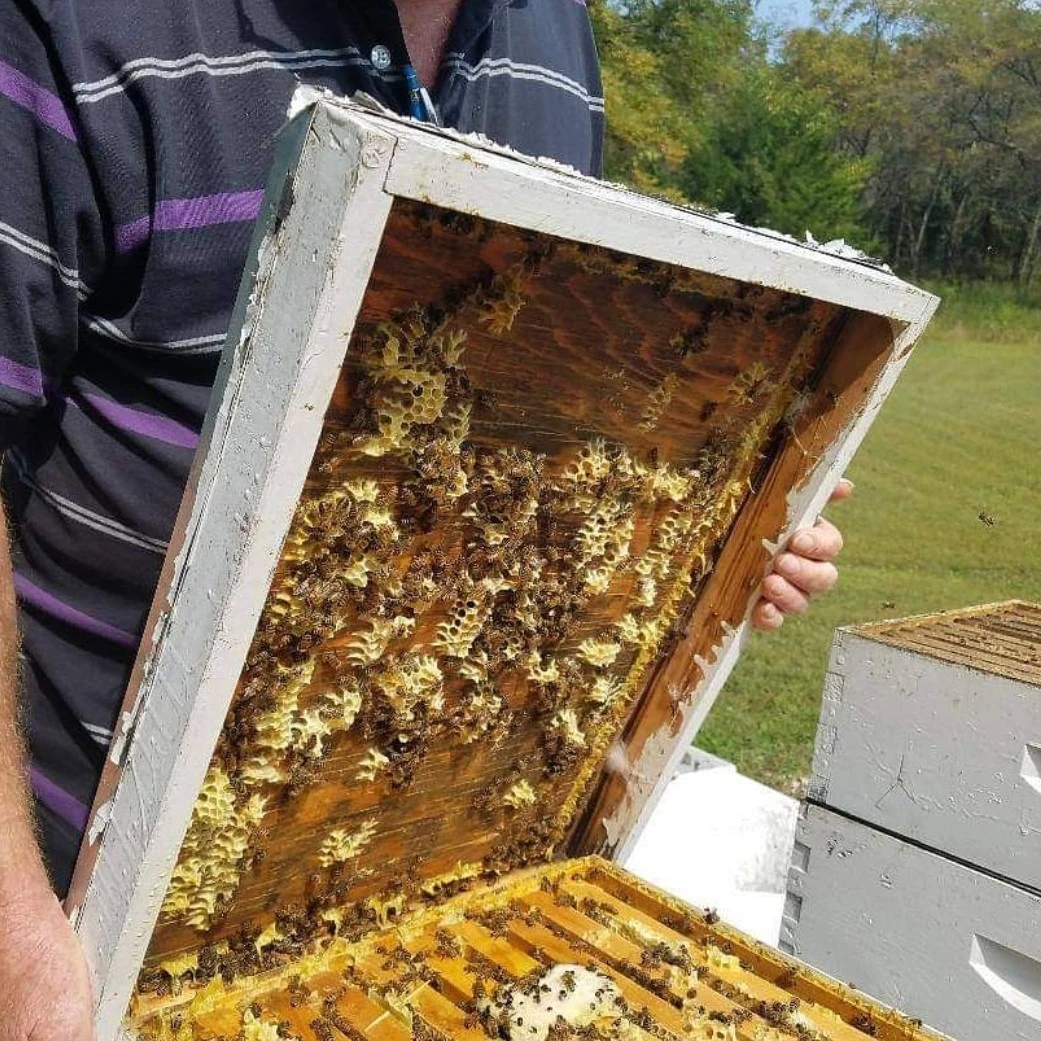 Spotlight On A Native Business Ioway Bee Farm
