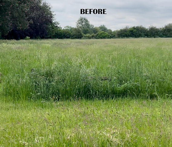 before photo.jpg