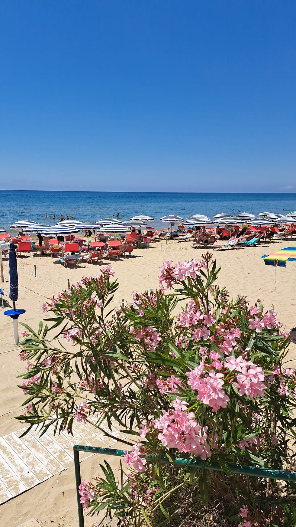 WhatsApp Image 2025-06-20 at 13.56.28