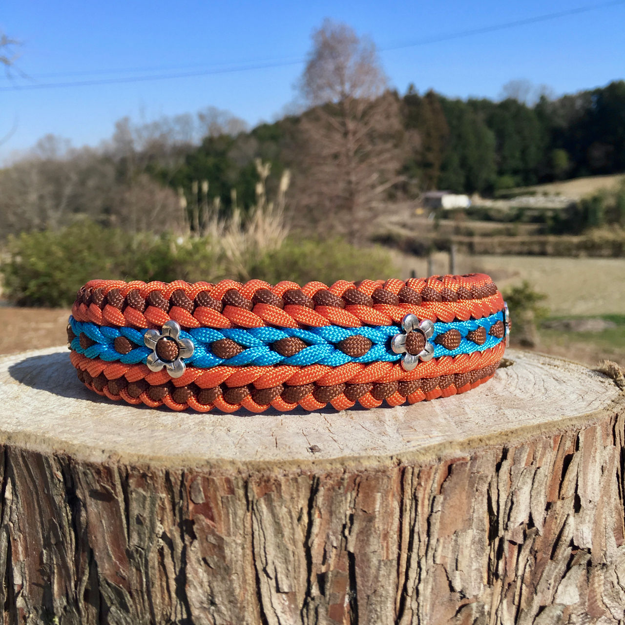 首輪　サンクティファイ　ワイド　Collar Sanctified Wide