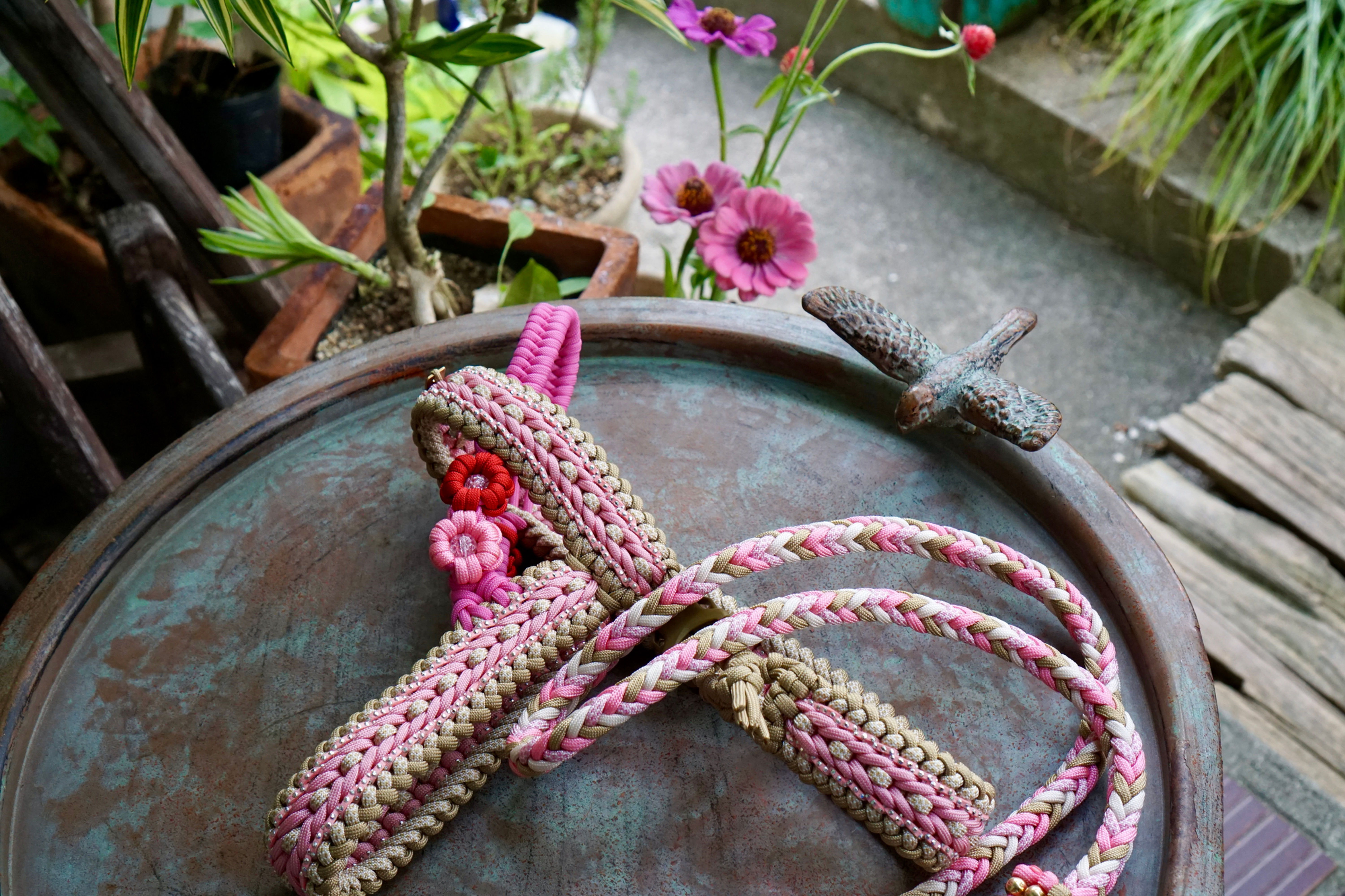 (100) Harness & lead   ”ココchan”