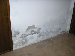 Umidità di risalita