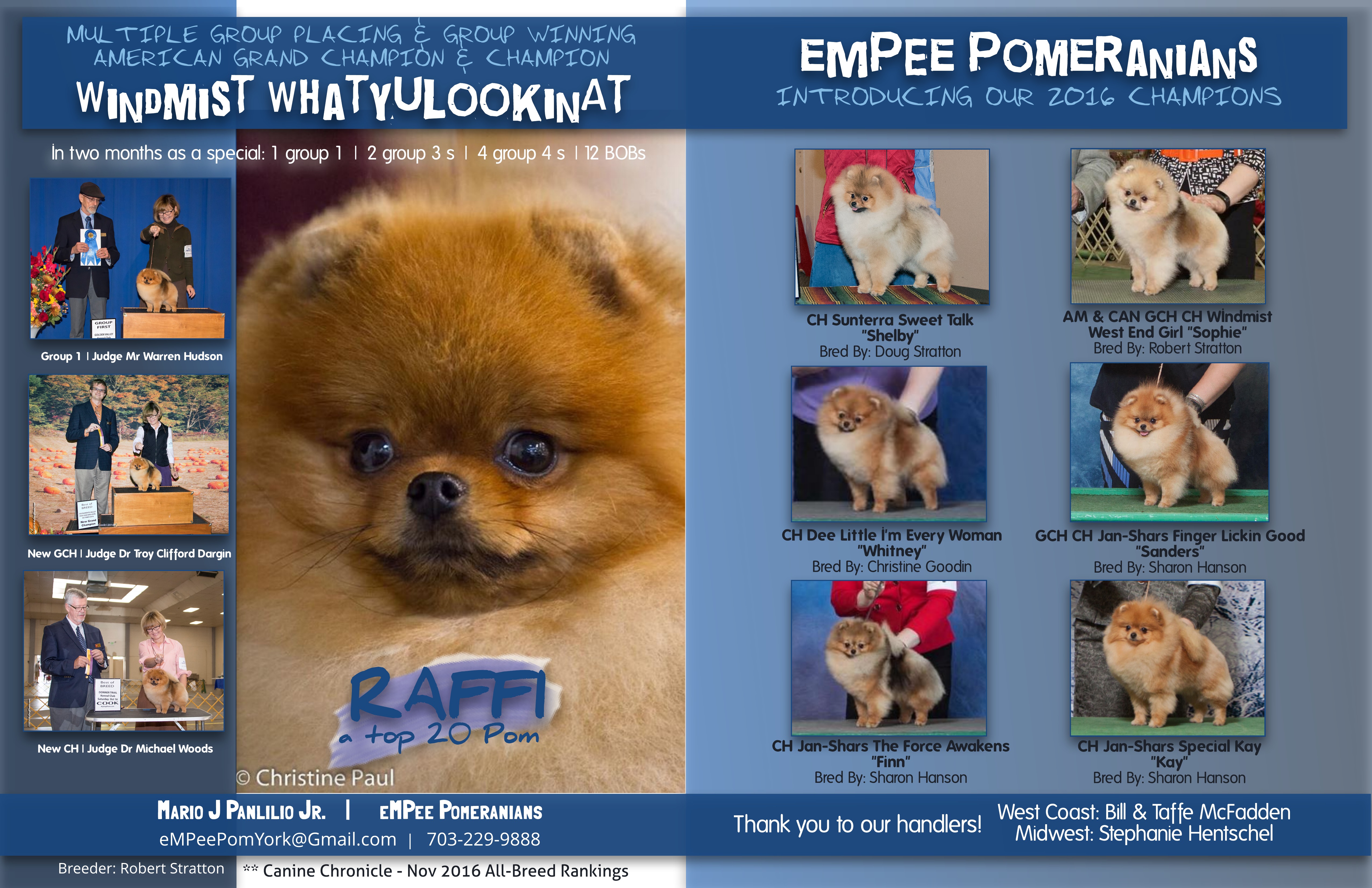 Pomeranian Review