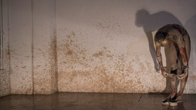 performance Wladimir Ojeda