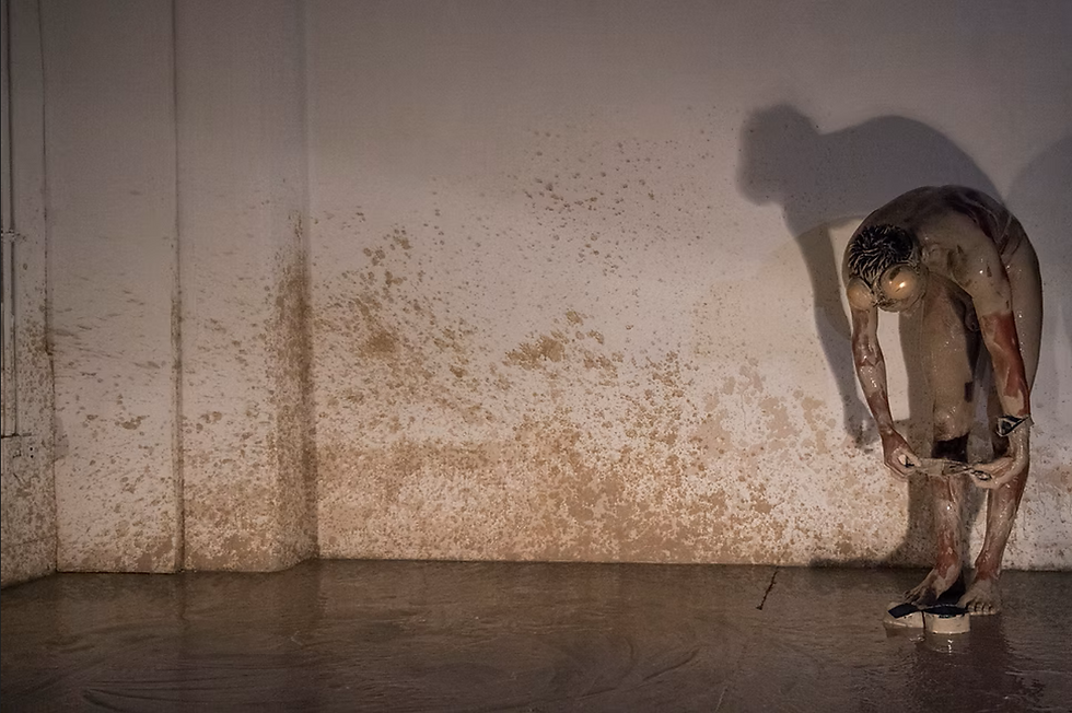 performance Wladimir Ojeda