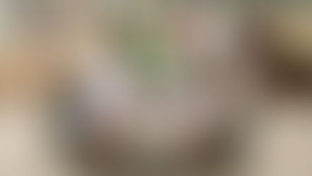 Inspirar / exspirar (2025) de Verónica Galván y Adrián Sosa.