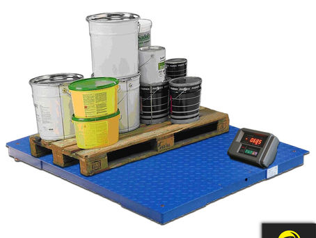 RTX-BD Series Setra Industrial Floor Weighing Scale