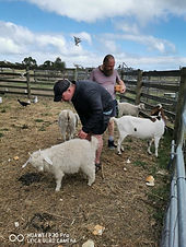 Phillip Island New Year Holiday