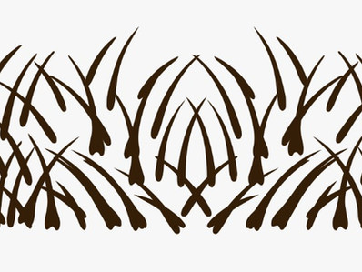 Waste Reduction in the Leather Industry 2/3 – Utilising Leather Solid Wastes in Other Industries: