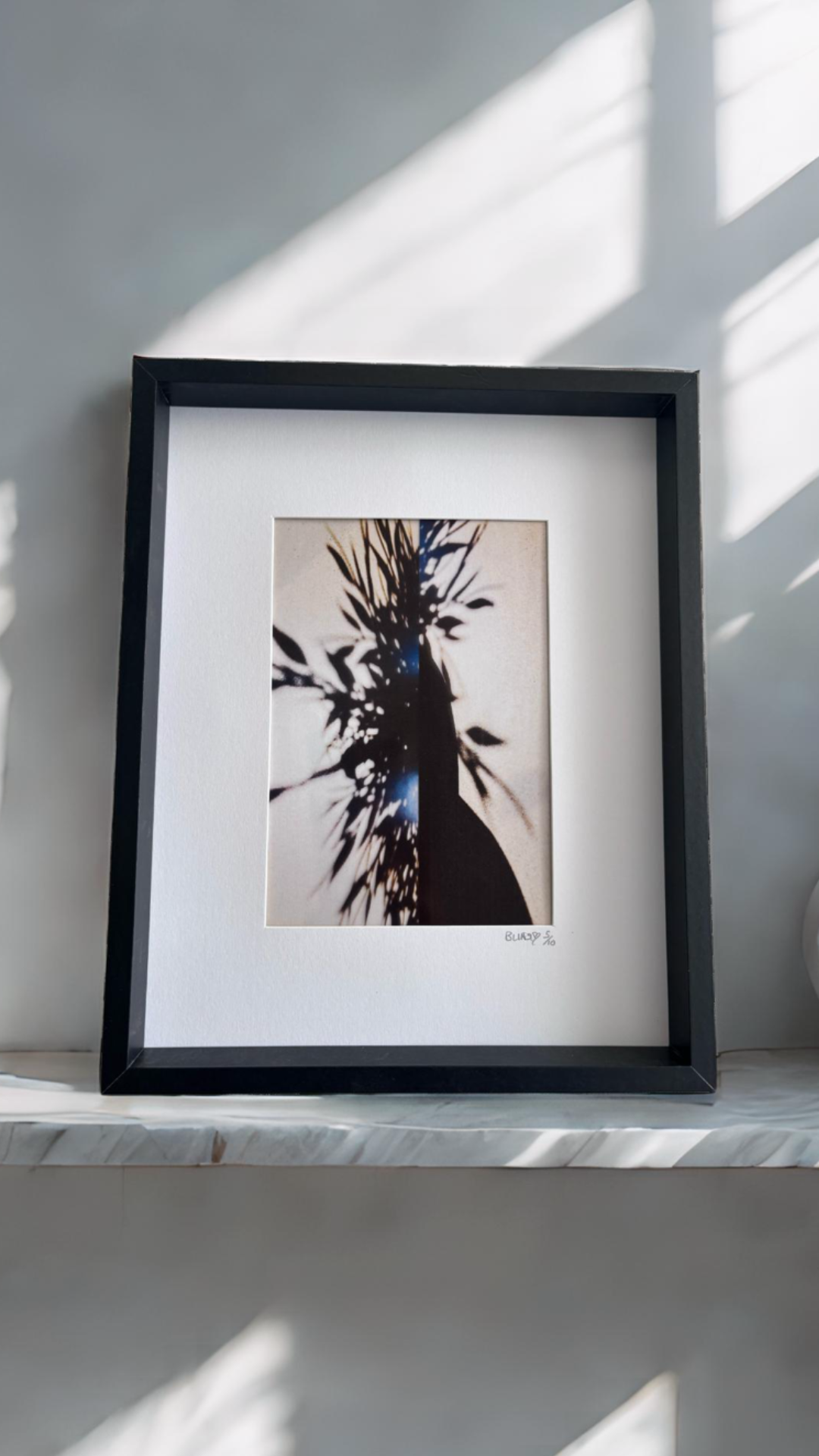 Shadow Bloom 'Limited'