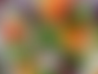 Estudio confirma que la dieta vegana para prevenir la diabetes y bajar de peso es eficaz y saludable