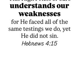 Bible verse text on a white background: "This High Priest understands our weaknesses... Hebrews 4:15" conveys empathy and resilience.