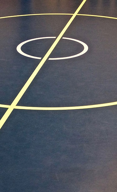 shutterstock_1192925452 2 2.jpg