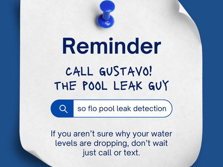 Reminder Call Gustavo Pool Leak Guy